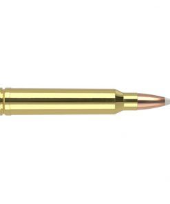 Nosler Trophy Grade .300 Winchester Magnum 180 Grain AccuBond Brass Cased Centerfire Rifle Ammunition 500 ROUNDS